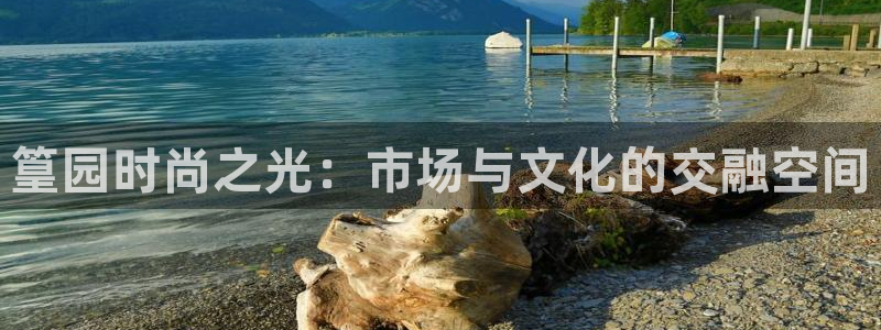 乐发VIII平台