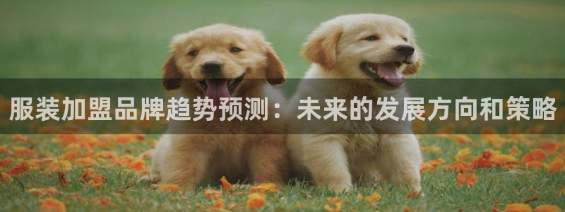 乐发平台棋牌