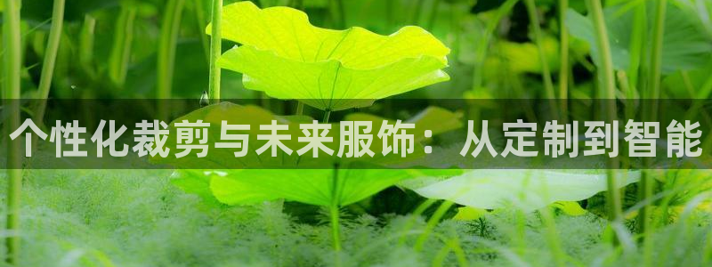 必乐2平台19发指尖