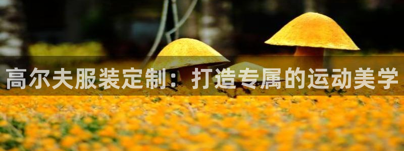 乐发1平台下载安装