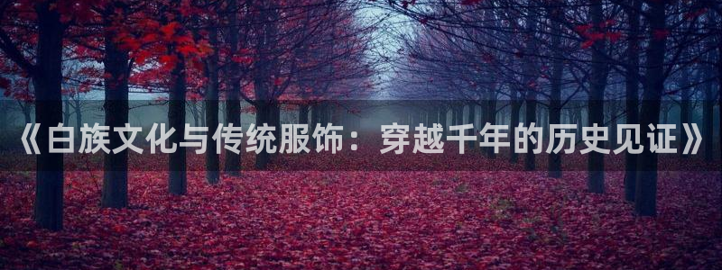 乐发彩票平台入口官网