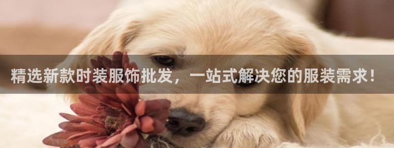 乐发平台怎么样知乎：精选新款时装服饰批发