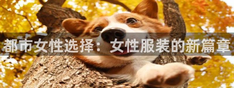 发乐发彩票平台注册