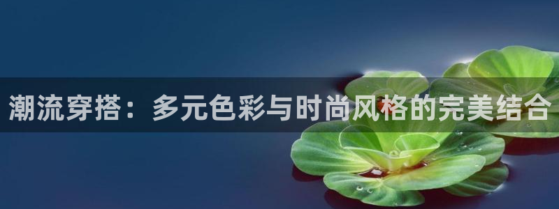 乐发平台注册资金多少亿