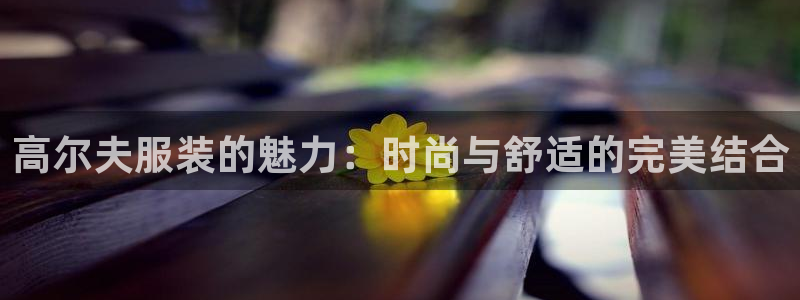 乐发彩票直播平台怎么样