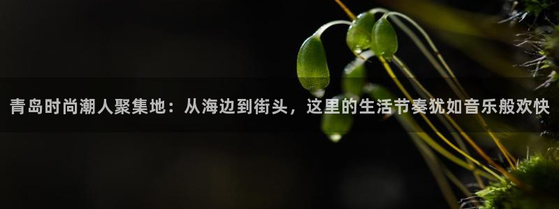 凯发百家乐AG平台