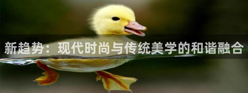 乐发旗下的平台有多少家