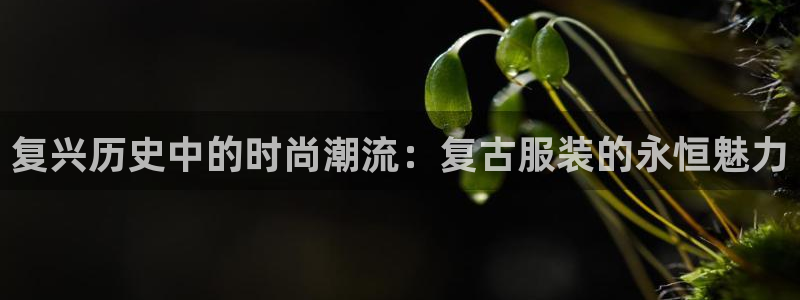 乐发彩票平台下载手机版