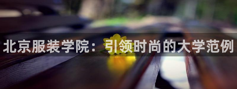 乐发彩票平台入口在哪