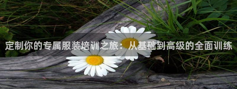 乐豪发官方娱乐平台