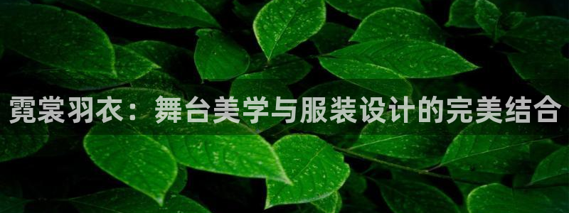 乐发游戏平台
