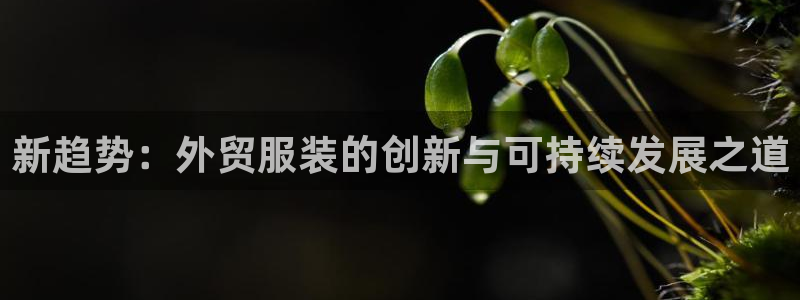 乐发平台黑钱