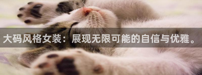 乐发彩票平台代理