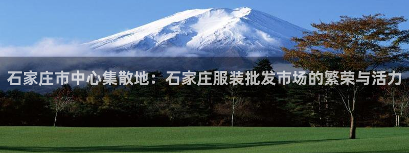 乐发彩票最新平台app