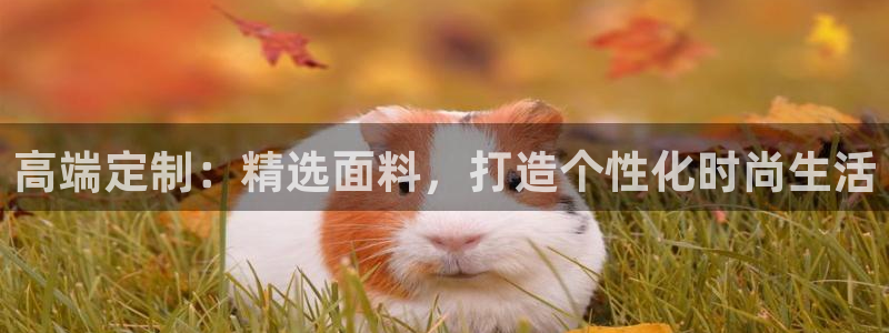 乐发传媒是个什么平台