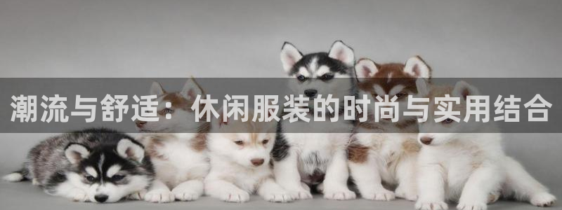 乐赚发圈平台
