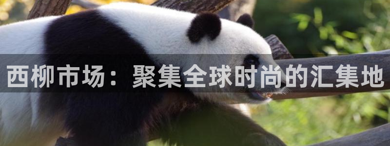 乐发平台网址多少