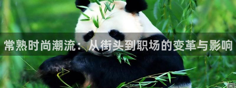 乐豪发是黑平台吗