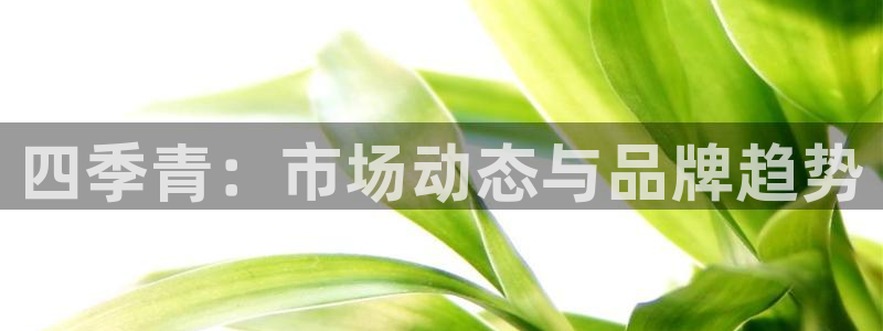 乐发彩票登录平台手机版