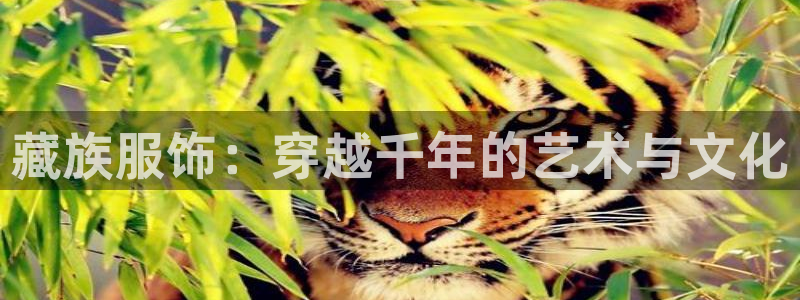 乐豪发平台在线