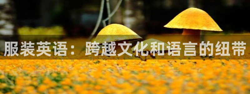 乐发彩票平台黑吗