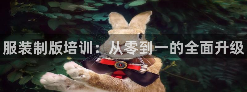 乐发平台下载安装最新版