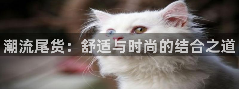 乐发平台怎么换邀请码呢