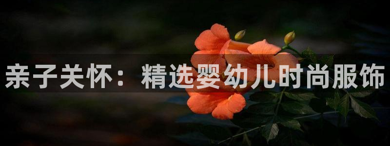 乐发是大平台吗