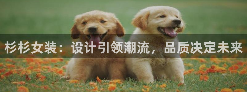 乐发国际官网平台：杉杉女装：设计引领潮流