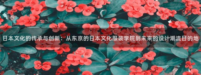 乐发lv是正规平台吗