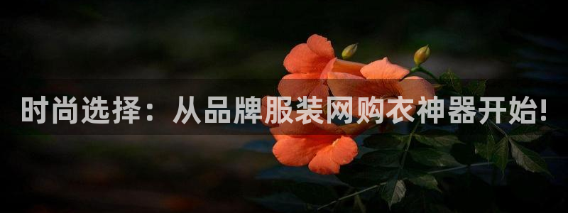 乐发1平台