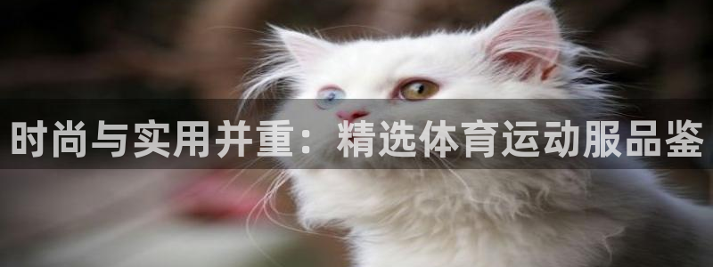 乐发旗下的平台有多少