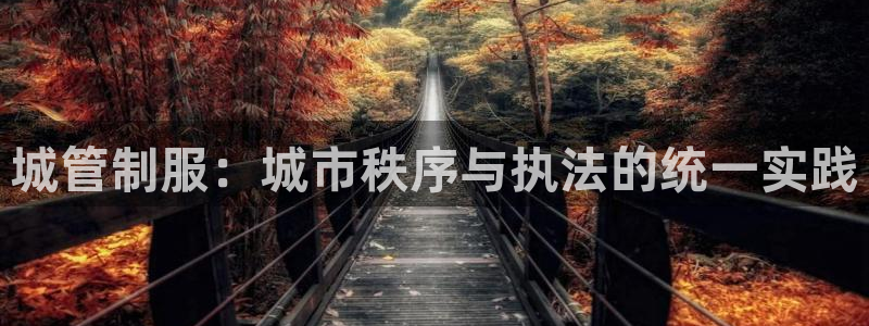 乐发vll彩票平台
