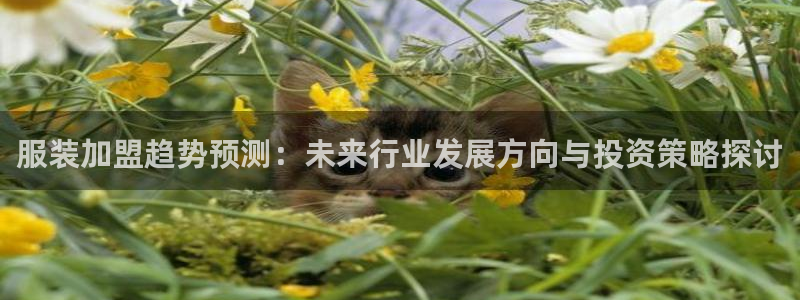 乐发彩票平台入口