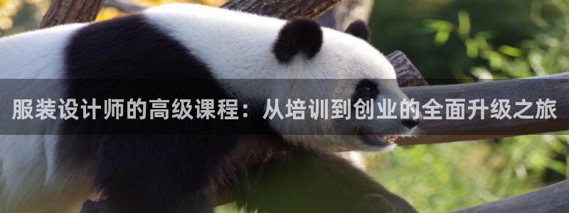 乐发彩票平台下载安装