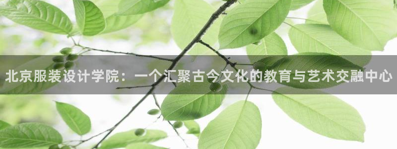 乐发 il彩票平台入口