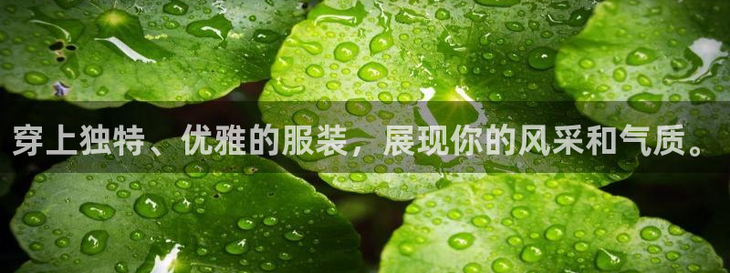 乐发app下载平台安装