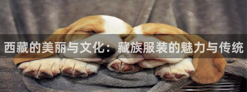 乐发通用平台