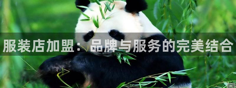 乐发快三彩票平台下载