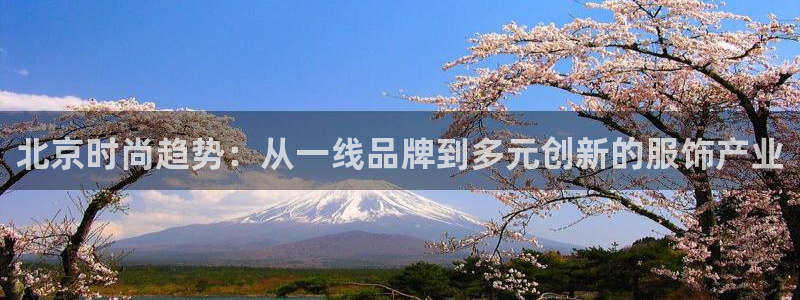 乐发区批发采购平台