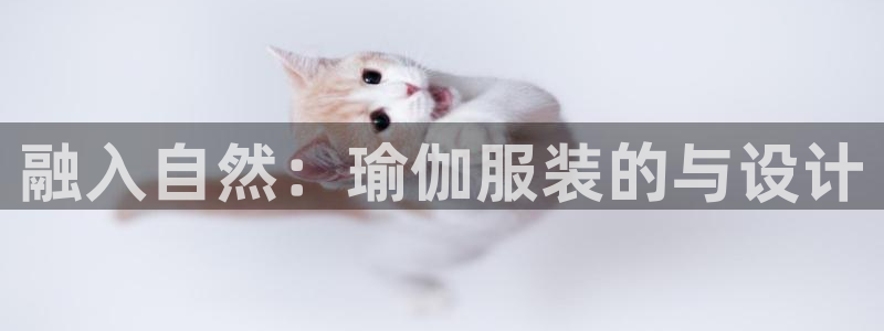 乐发III平台最新版本更新内容