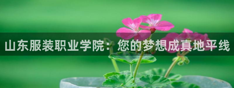 乐发app下载平台苹果