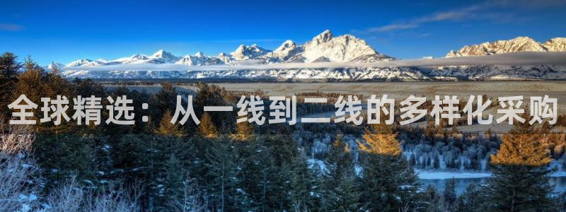 乐发xl彩票平台正规不