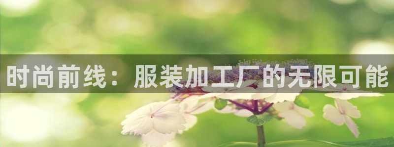 乐发宾果彩票平台