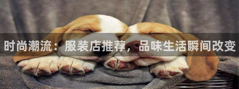 乐发快三彩票平台怎么样