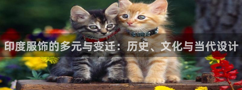 乐发平台网址是什么