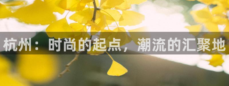 乐发VIII平台免费版