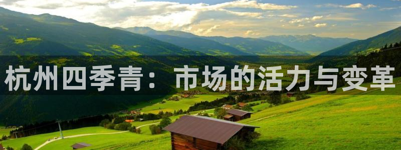 乐贷公告是什么平台发的：杭州四季青：市场