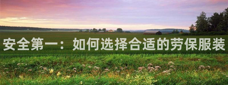 乐发游戏平台：安全第一：如何选择合适的劳